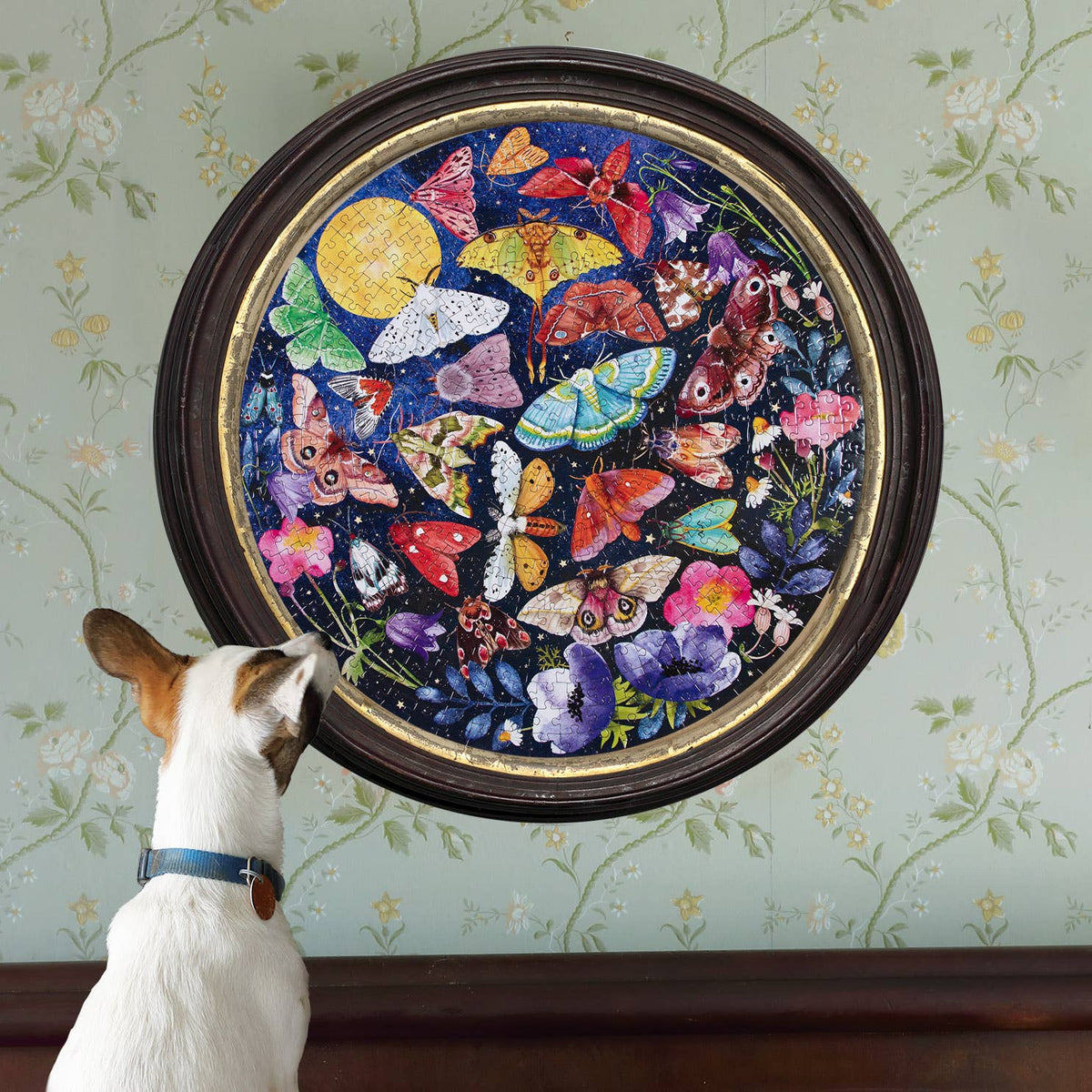 eeBoo - Moths 500 Piece Round Puzzle