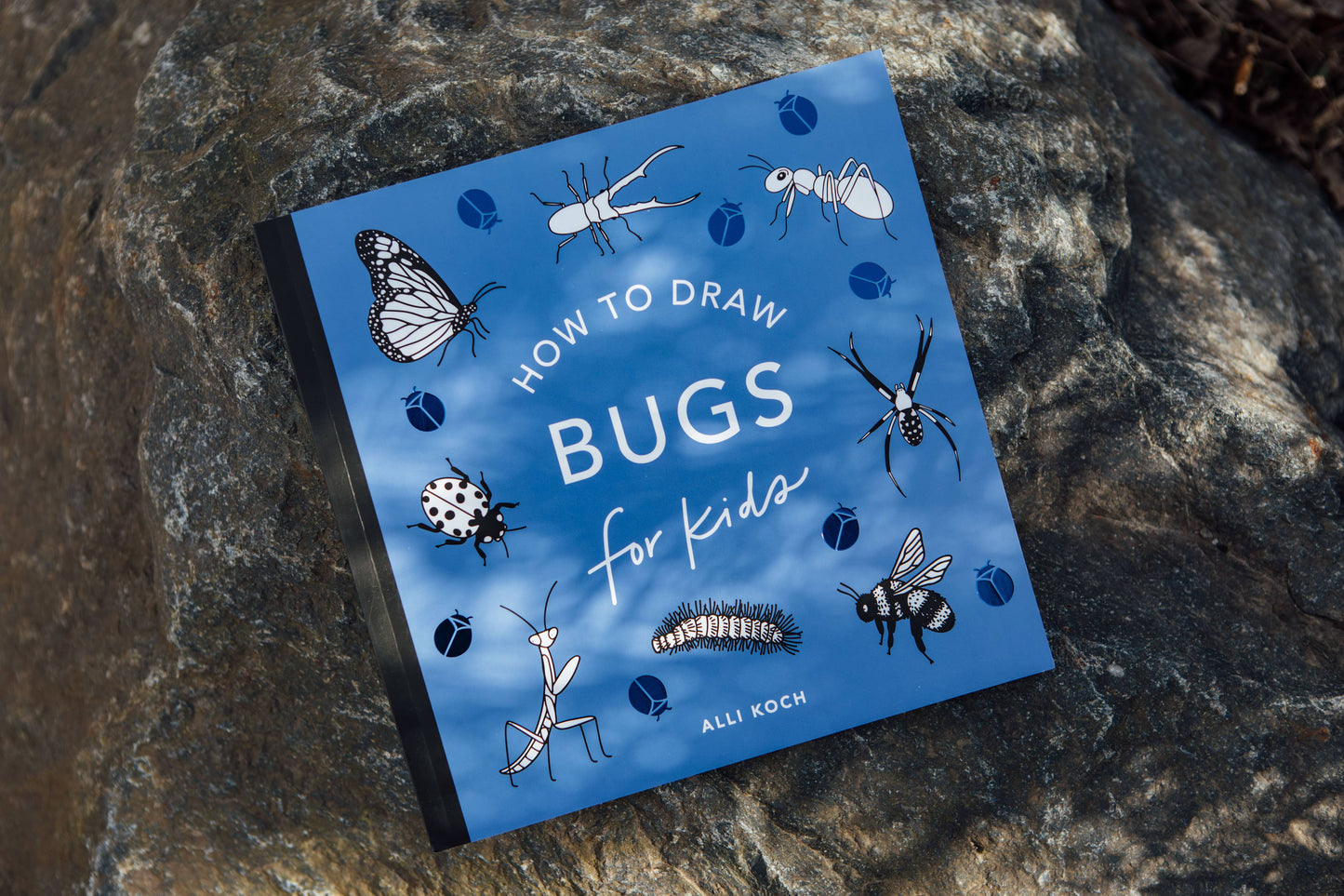 Paige Tate & Co. - How to Draw Bugs for Kids (Butterflies, Bees, Ladybugs)