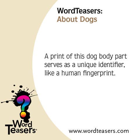WordTeasers - About Dogs