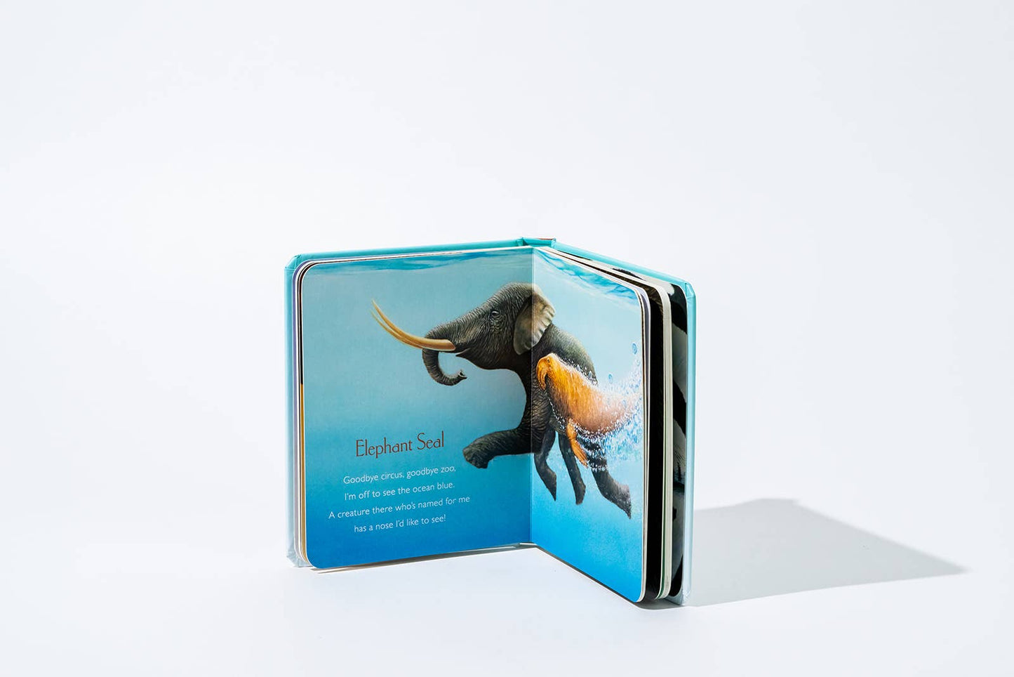 Paige Tate & Co. - You Stole My Name: Board Book for Baby