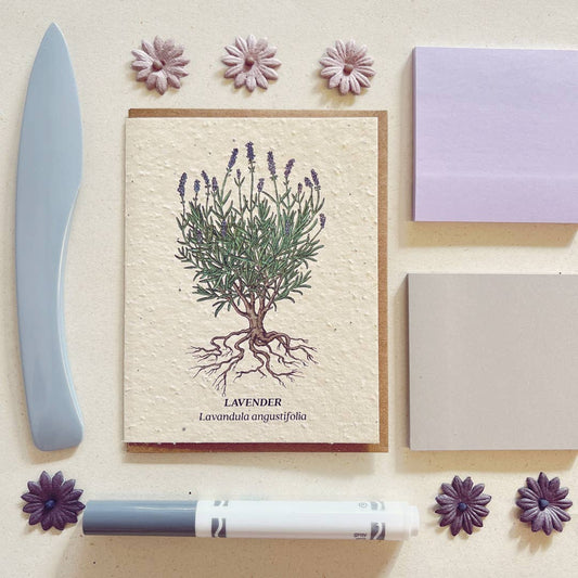 Small Victories - Lavender Plantable Wildflower Seed Card