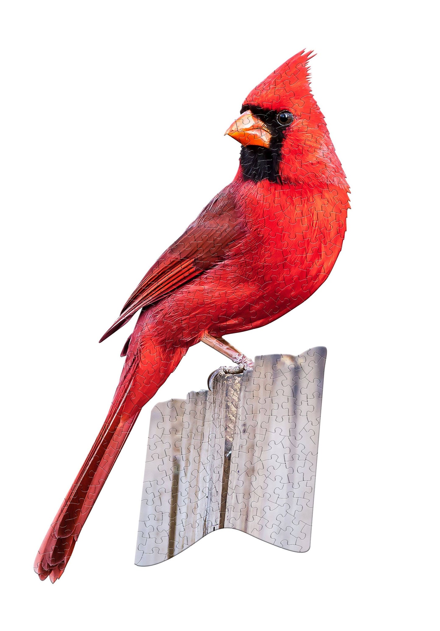 Madd Capp Games & Puzzles - I AM CARDINAL 300 piece jigsaw adult puzzle - Great gift!