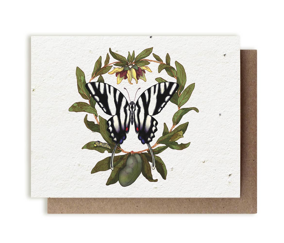 Small Victories - Zebra Swallowtail Butterfly & Pawpaw Plantable Herb Card