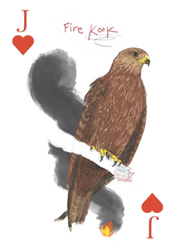 Chronicle Books - Field Guide to Dumb Birds Playing Cards