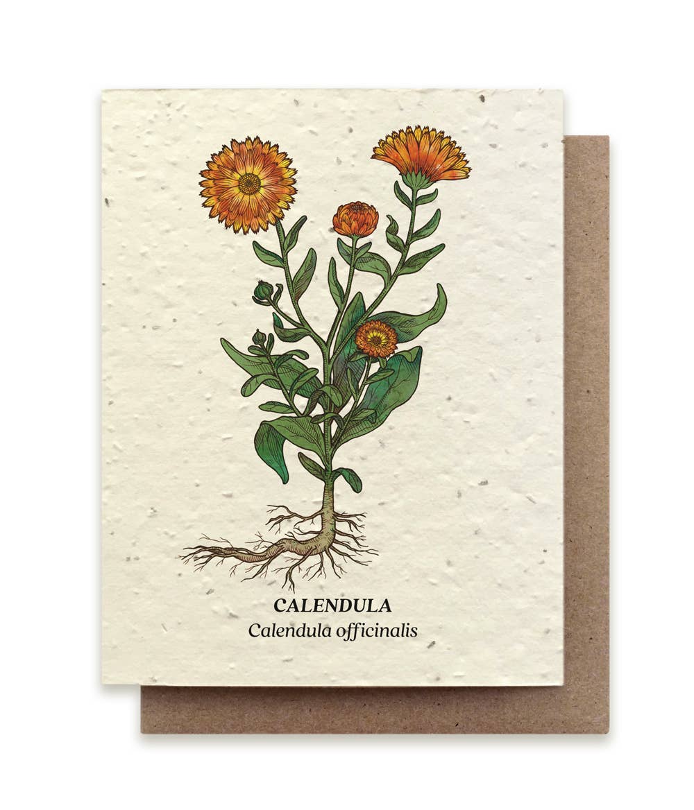 Small Victories - Calendula Plantable Wildflower Seed Card