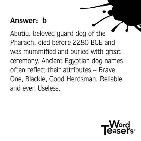 WordTeasers - About Dogs