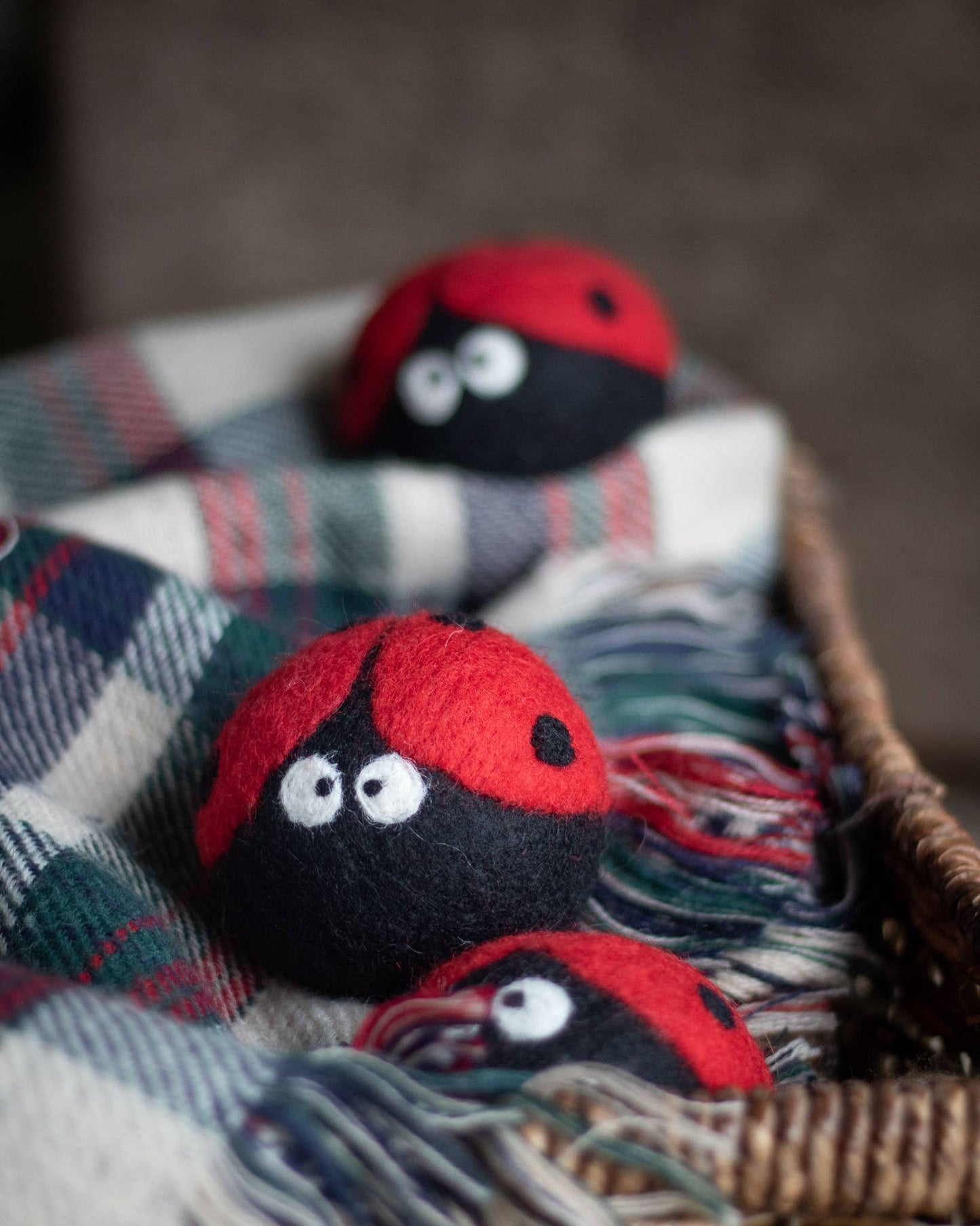 Friendsheep - Laundrybugs Eco Dryer Balls (LADYBUG)