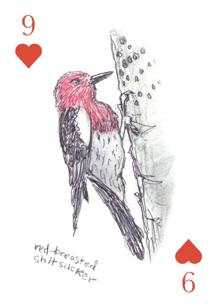 Chronicle Books - Field Guide to Dumb Birds Playing Cards