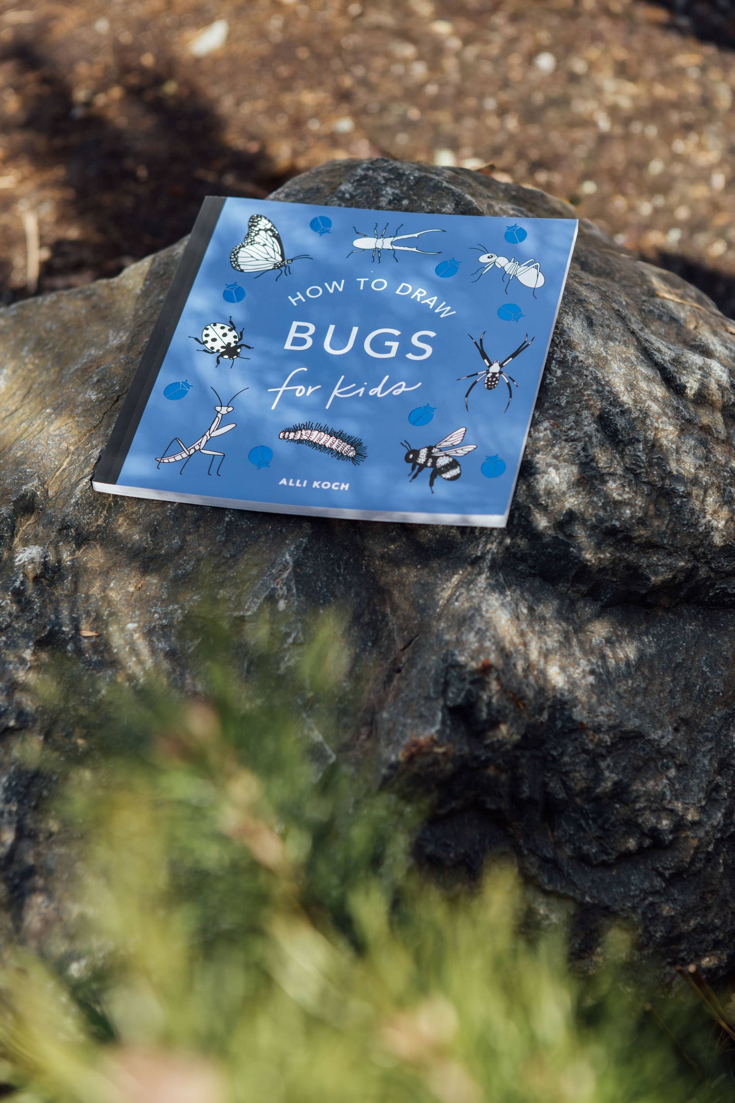 Paige Tate & Co. - How to Draw Bugs for Kids (Butterflies, Bees, Ladybugs)