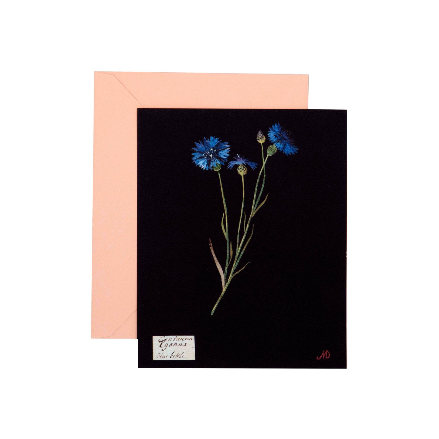 Chronicle Books - Paper Flowers Cards and Envelopes