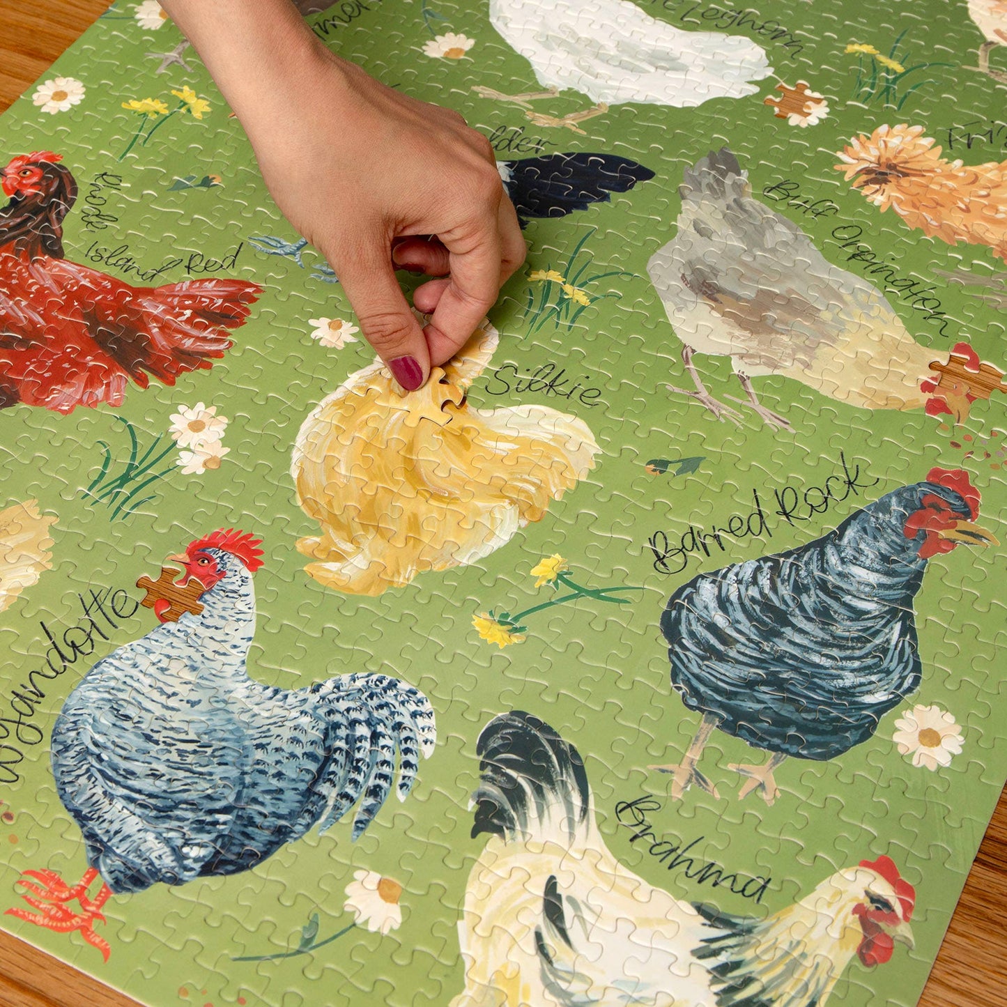 1canoe2 | One Canoe Two Paper Co. - Chicken Meadows - 1,000 Piece Jigsaw Puzzle