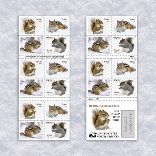 USPS Squirrels & Chipmunks in Snow Forever Stamps — Booklet of 20