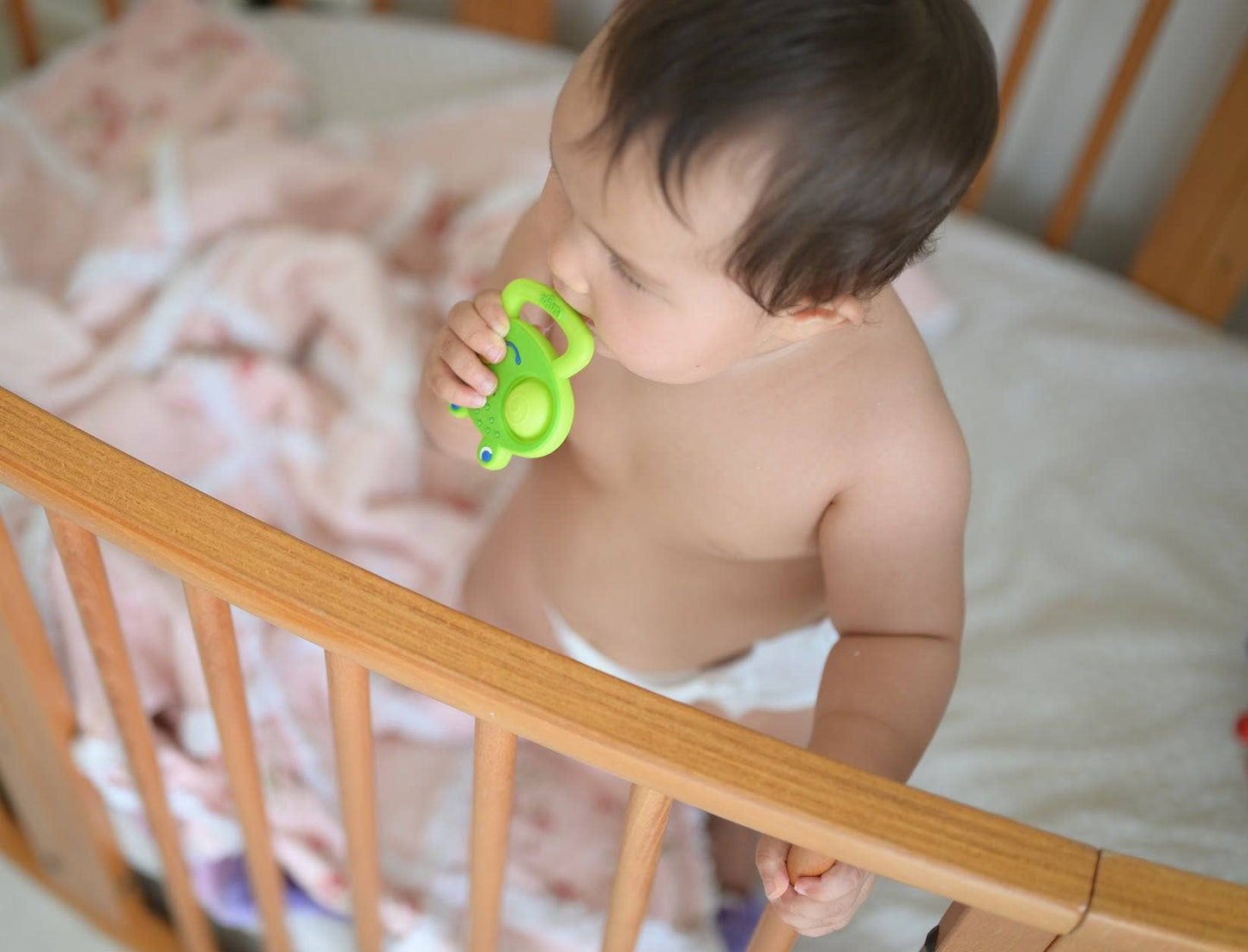 HABA USA - Popping Frog Silicone Teething Toy