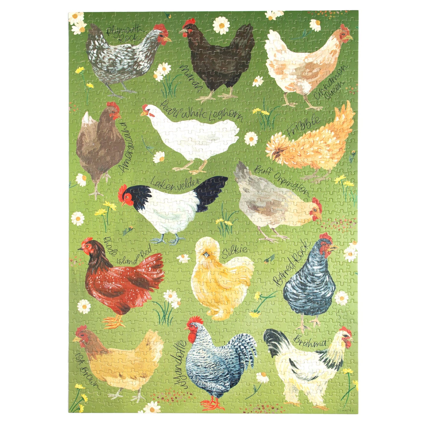 1canoe2 | One Canoe Two Paper Co. - Chicken Meadows - 1,000 Piece Jigsaw Puzzle
