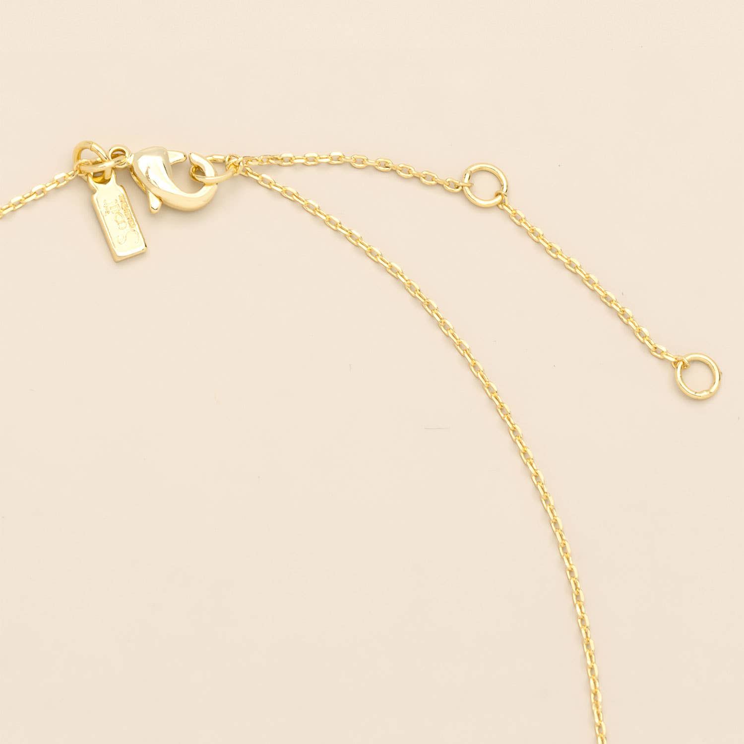 Scout Curated Wears - Pressed Flower Necklace - Purple Cornflower/Gold