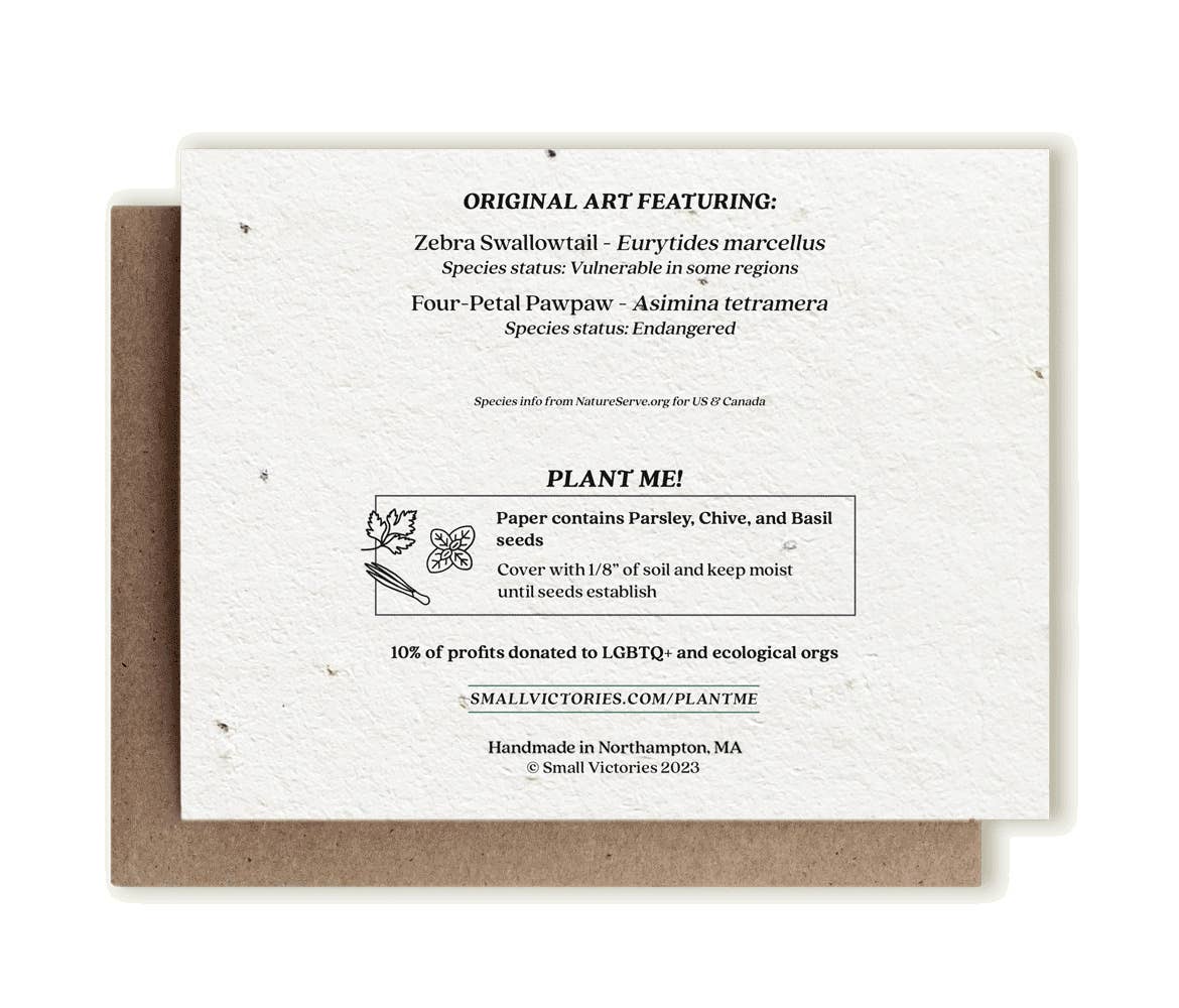 Small Victories - Zebra Swallowtail Butterfly & Pawpaw Plantable Herb Card