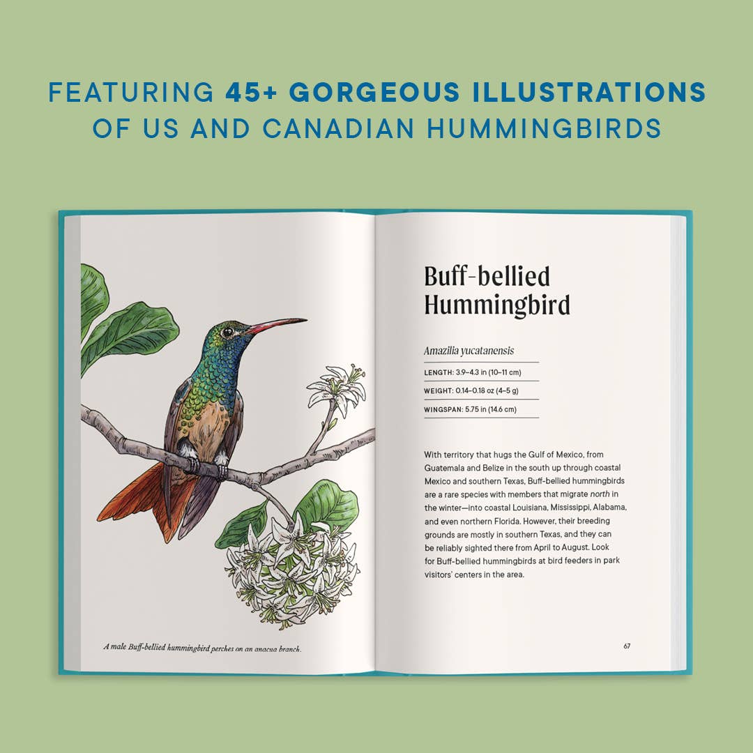 Paige Tate & Co. - A Little Book of Hummingbirds (Mother's Day Gift)
