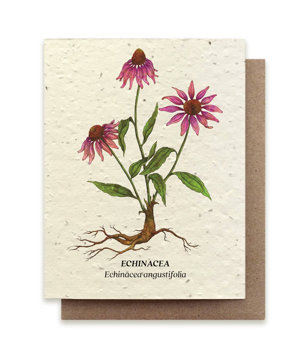 Small Victories - Echinacea Plantable Wildflower Seed Card