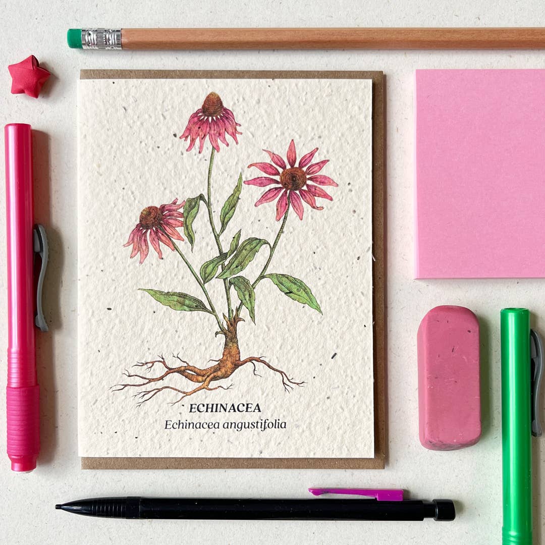 Small Victories - Echinacea Plantable Wildflower Seed Card