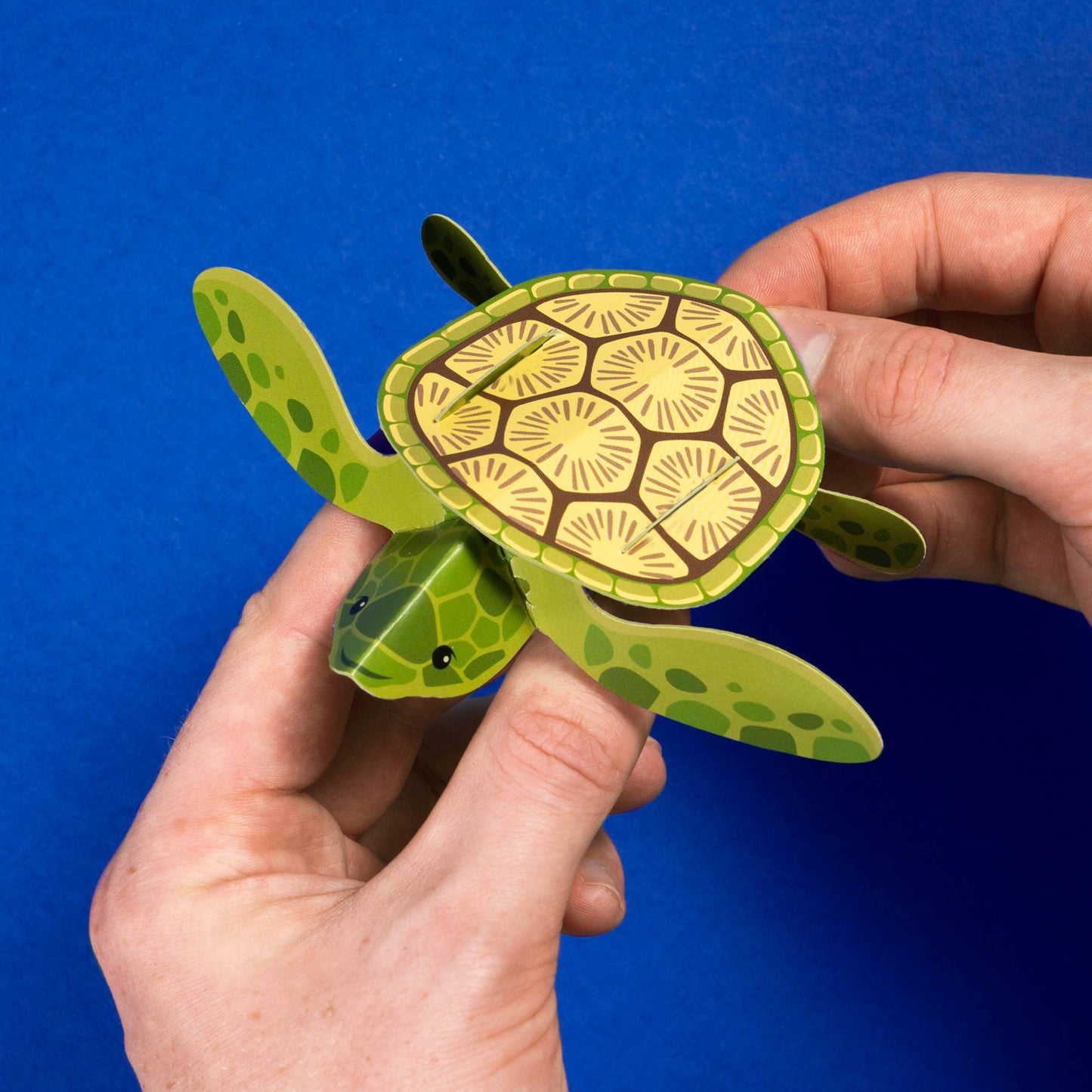 Clockwork Soldier - Create Your Own Tiny Turtle