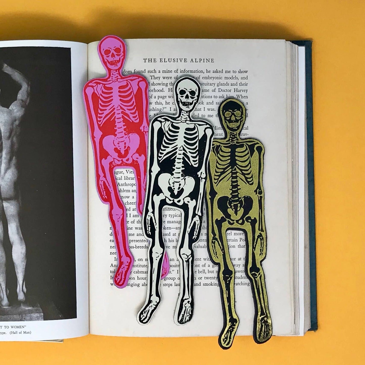 Ark Colour Design - Skeleton Bookmark