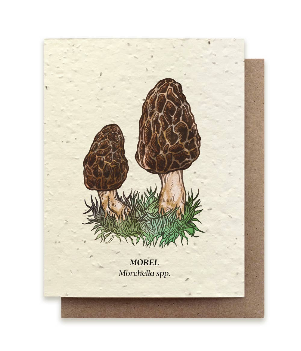 Small Victories - Morel Mushroom Plantable Wildflower Seed Card