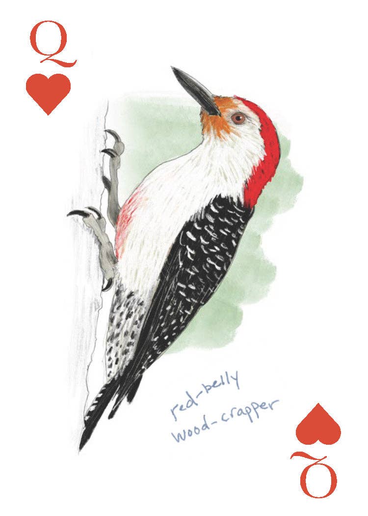 Chronicle Books - Field Guide to Dumb Birds Playing Cards