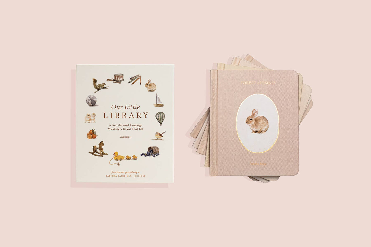 Paige Tate & Co. - Our Little Library Vol. 1 (5 Board Books)