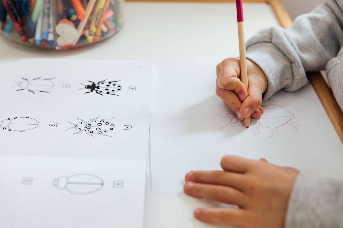 Paige Tate & Co. - How to Draw Bugs for Kids (Butterflies, Bees, Ladybugs)