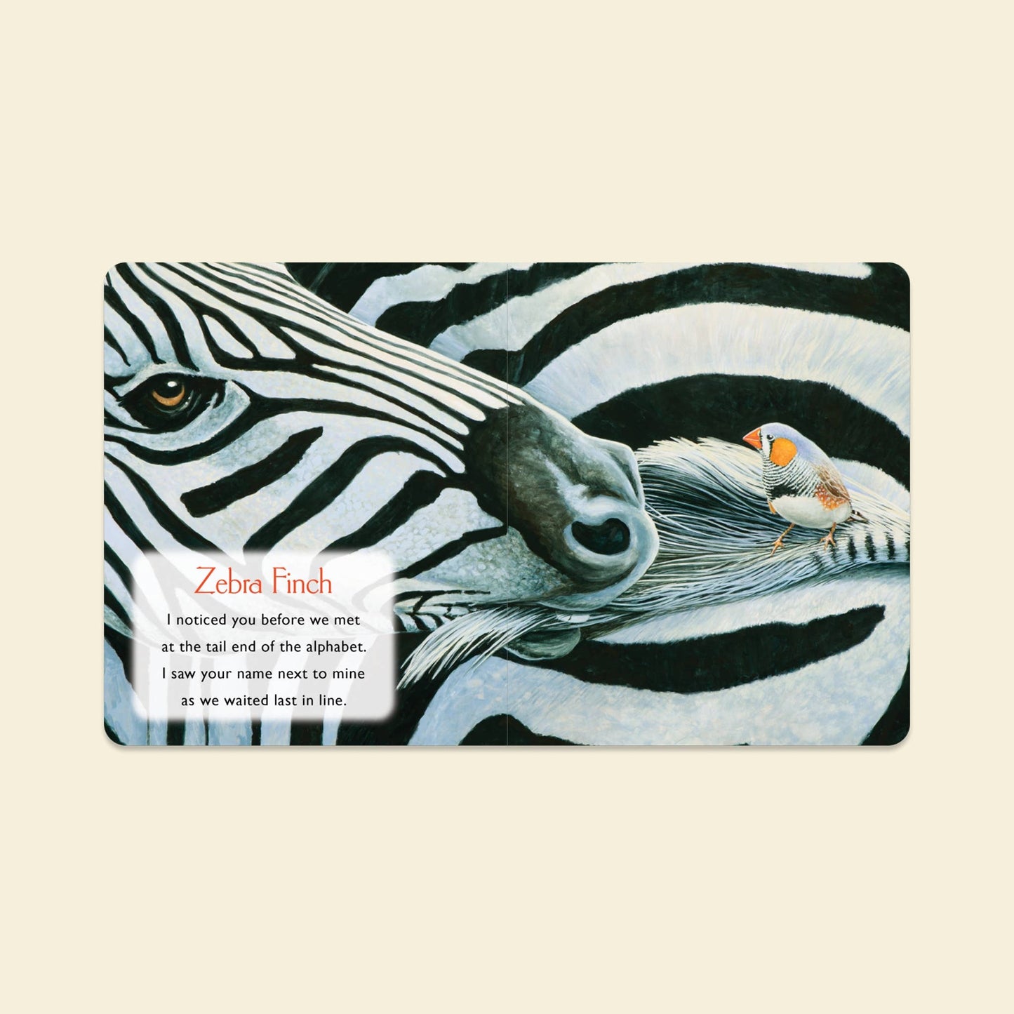 Paige Tate & Co. - You Stole My Name: Board Book for Baby