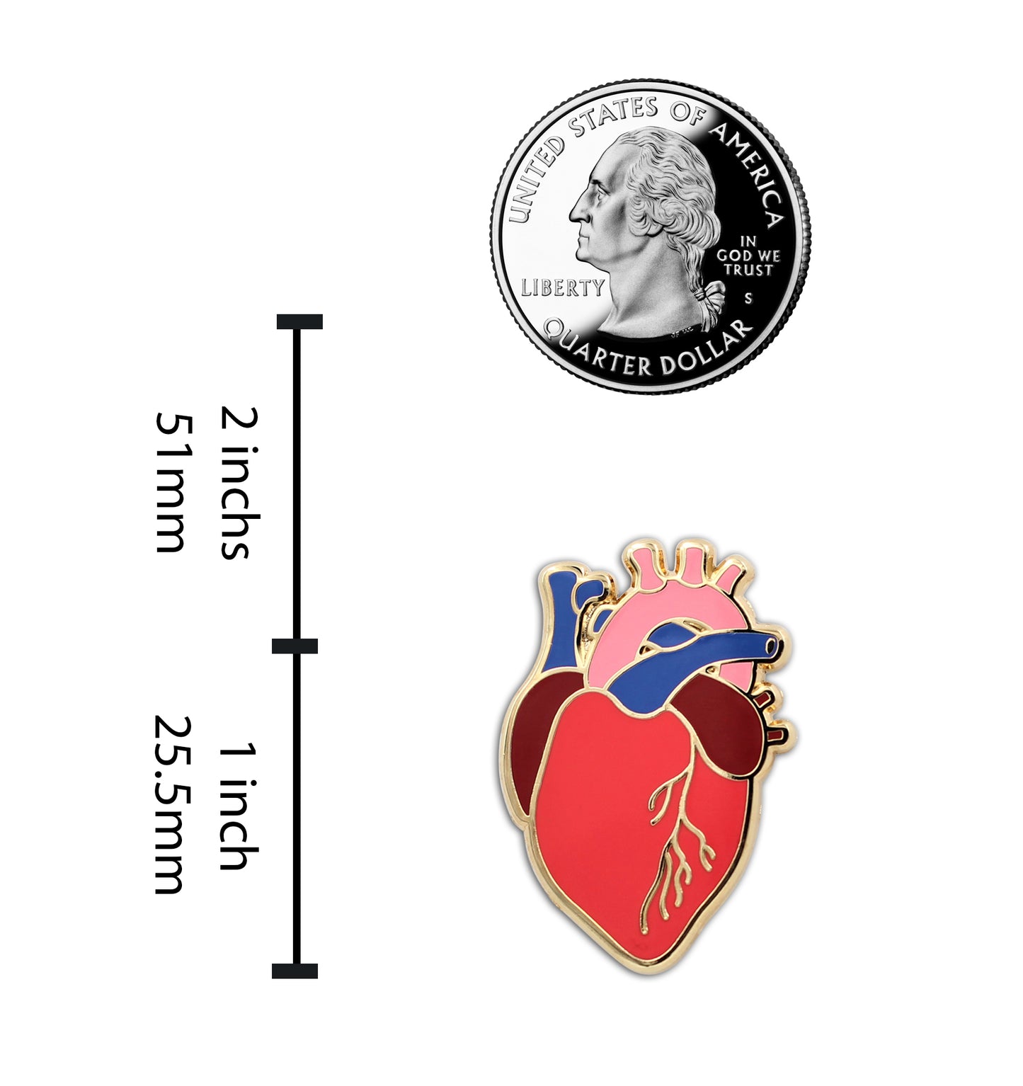 Anatomical Heart Realistic Scientific Heart Enamel Pin