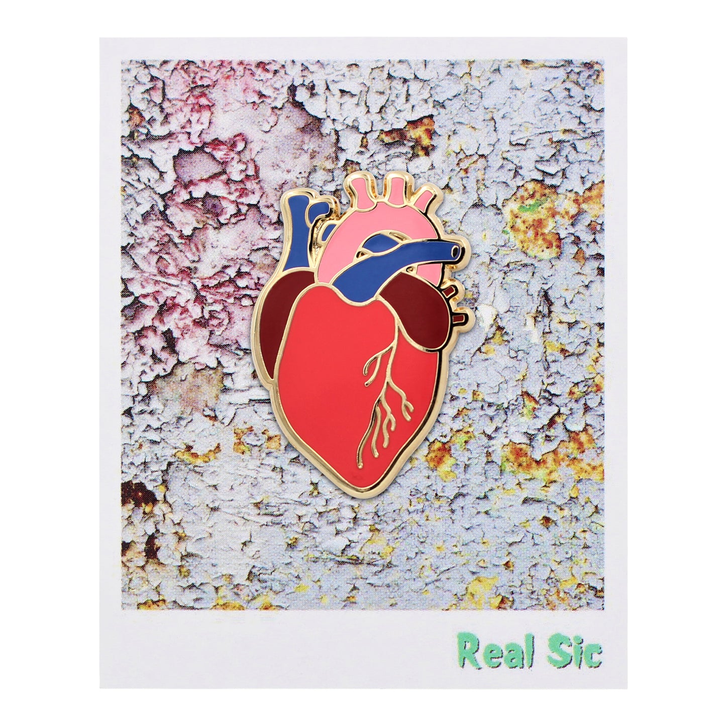 Anatomical Heart Realistic Scientific Heart Enamel Pin