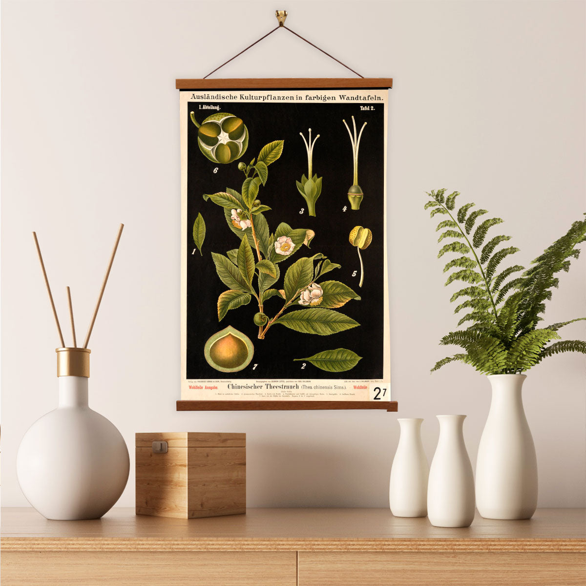 Tea Plant by Hermann Zippel and Carl Bollmann  Botanical Prints Canvas Wall Art with Magnetic Hanger