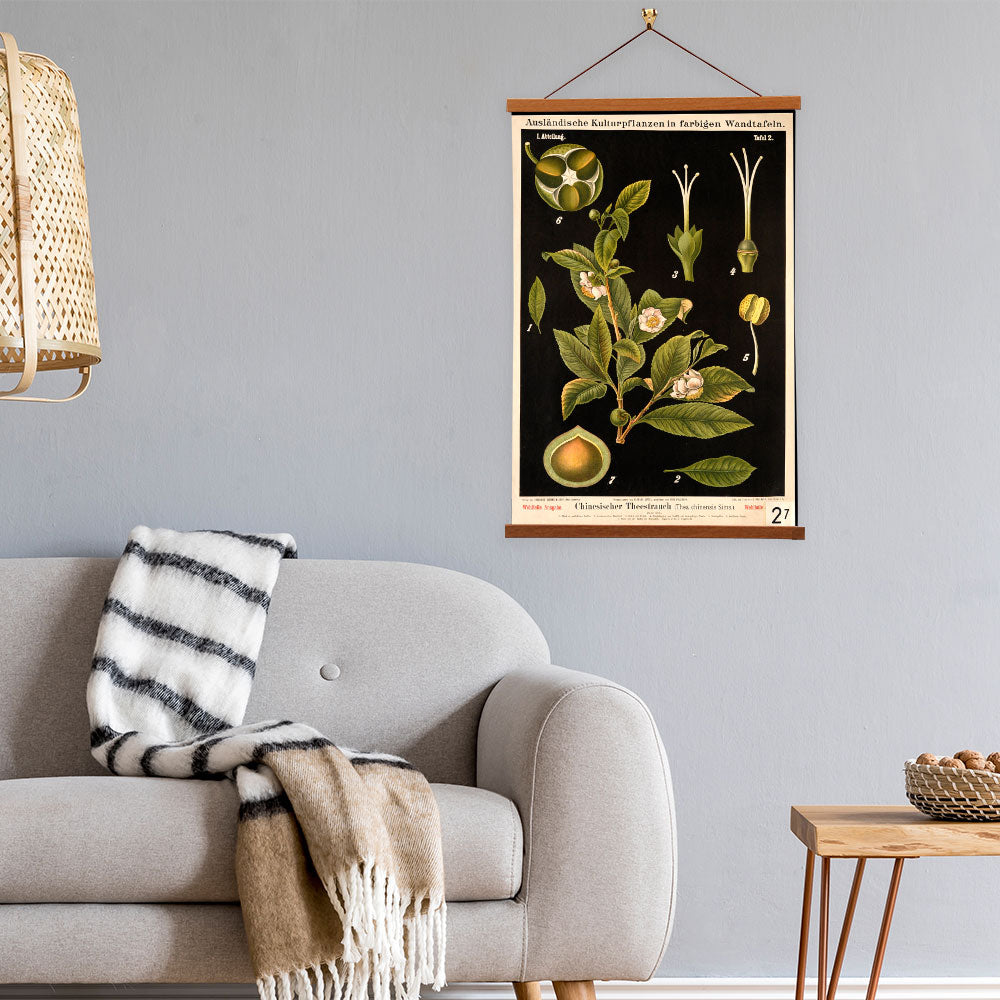 Tea Plant by Hermann Zippel and Carl Bollmann  Botanical Prints Canvas Wall Art with Magnetic Hanger