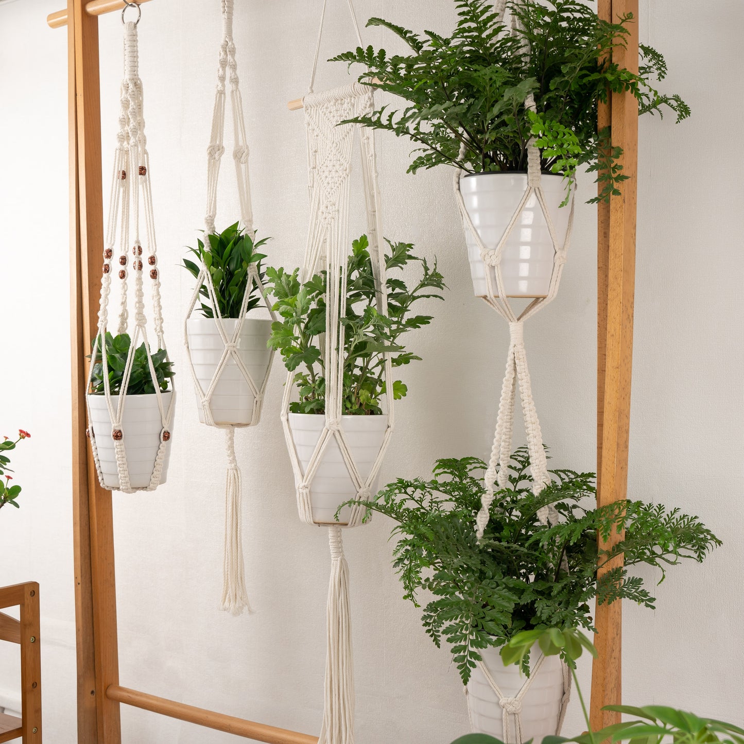 Handmade Cotton Macrame Rope Plants Hanging Pots Holder Stand Hangers Set of 4 & 5