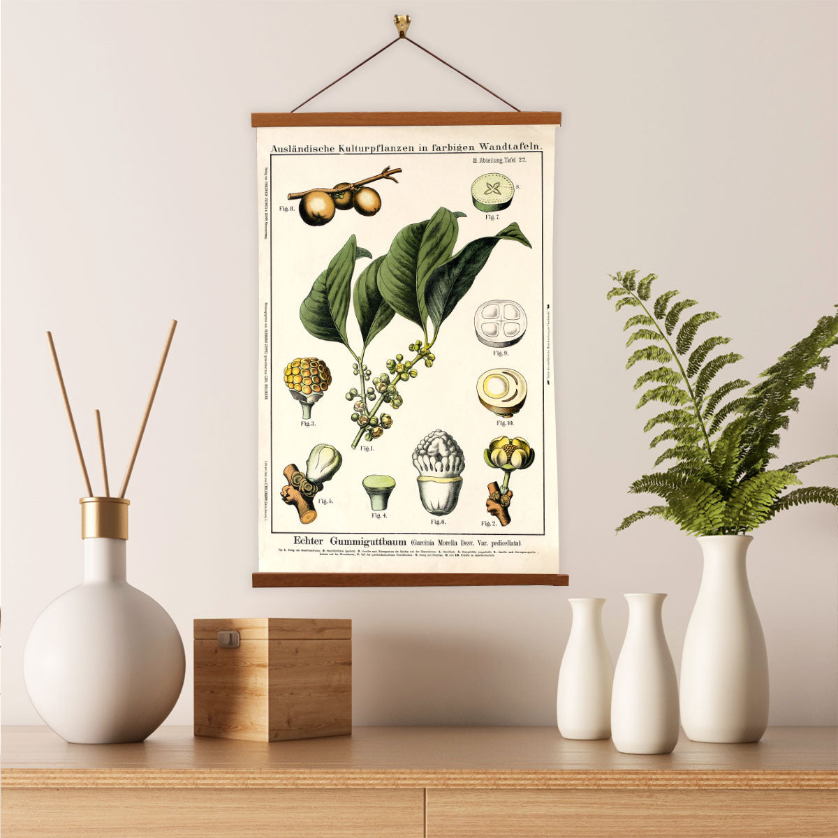 Gamboge Fruit Tree by Hermann Zippel and Carl Bollmann  Botanical Prints Canvas Wall Art with Magnetic Hanger