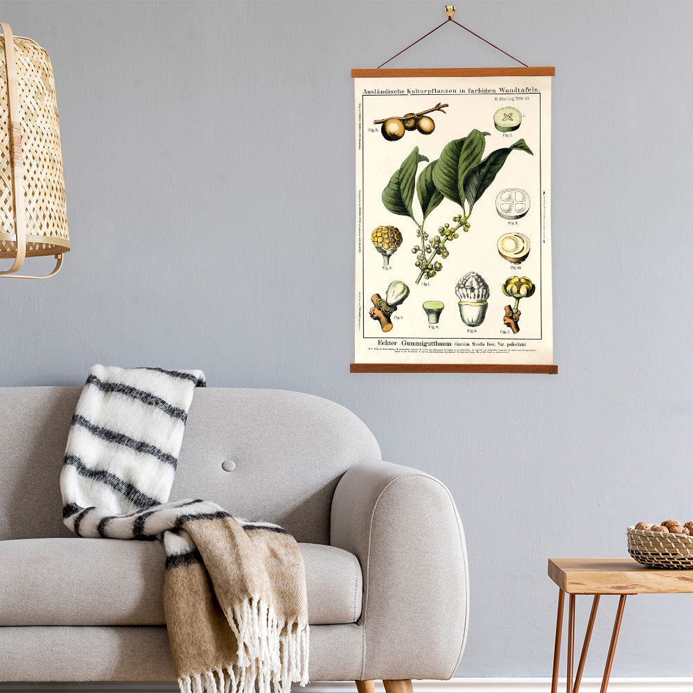Gamboge Fruit Tree by Hermann Zippel and Carl Bollmann  Botanical Prints Canvas Wall Art with Magnetic Hanger