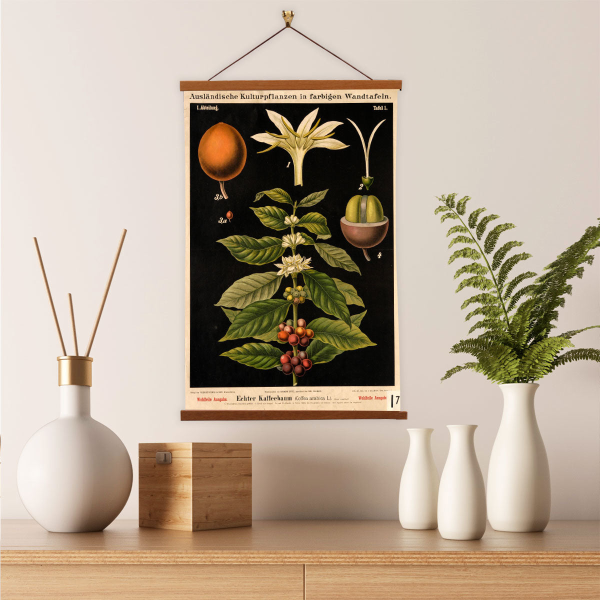 Coffee Tree by Hermann Zippel and Carl Bollmann  Botanical Prints Canvas Wall Art with Magnetic Hanger