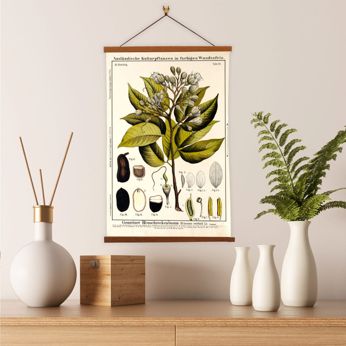 Locust Tree by Hermann Zippel and Carl Bollmann  Botanical Prints Canvas Wall Art with Magnetic Hanger