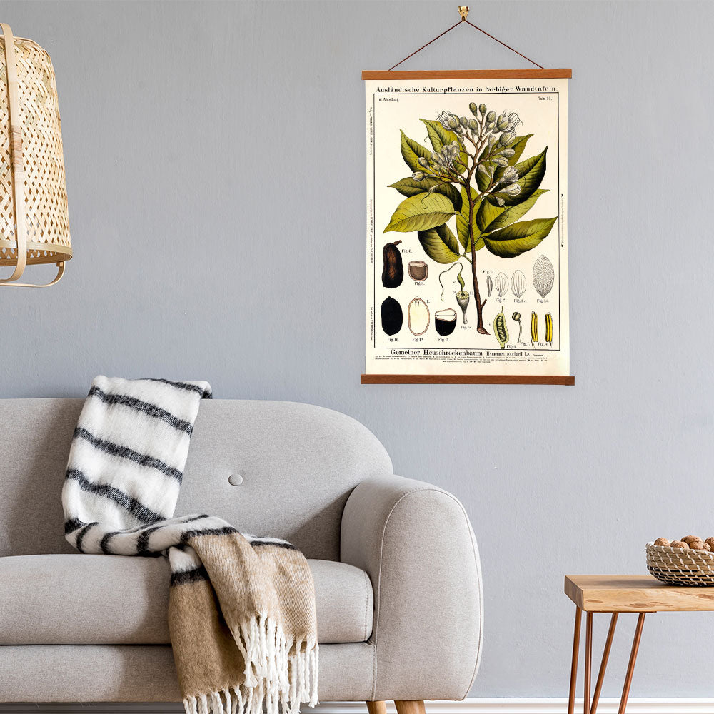 Locust Tree by Hermann Zippel and Carl Bollmann  Botanical Prints Canvas Wall Art with Magnetic Hanger