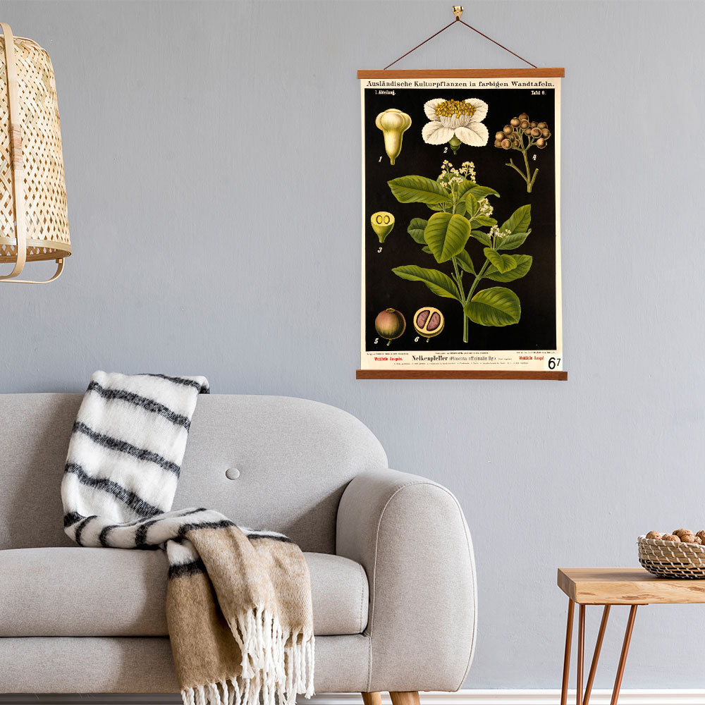 Jamaica Pepper Tree by Hermann Zippel and Carl Bollmann  Botanical Prints Canvas Wall Art with Magnetic Hanger