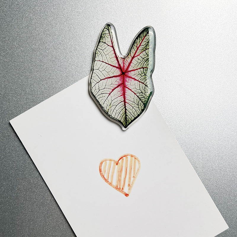 Tropical Leaf Magnet - White & Pink