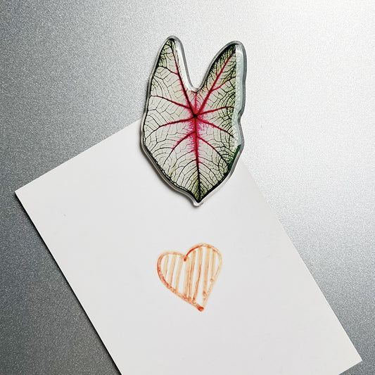 Tropical Leaf Magnet - White & Pink
