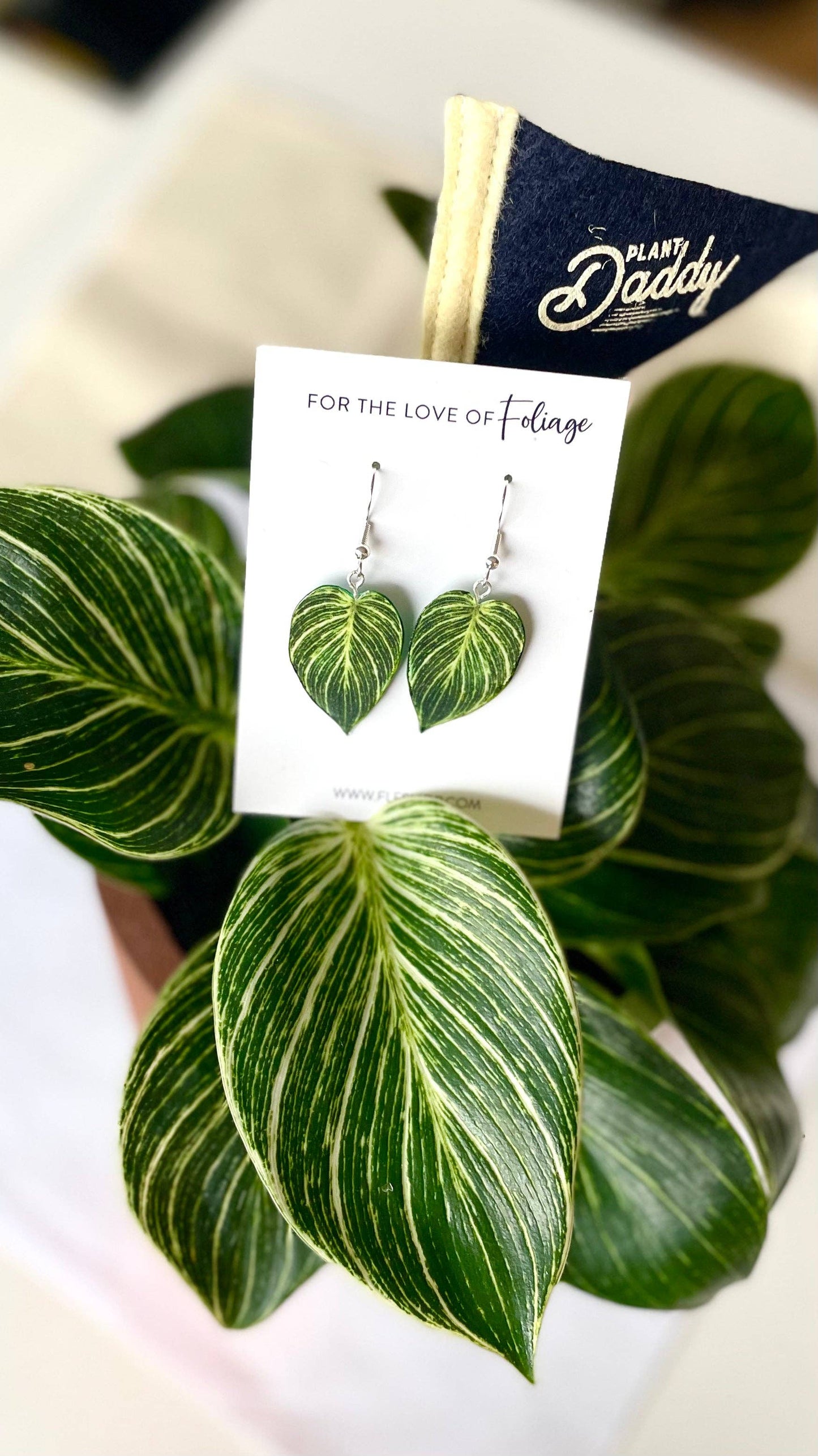 Philodendron Birkin Plant Earrings