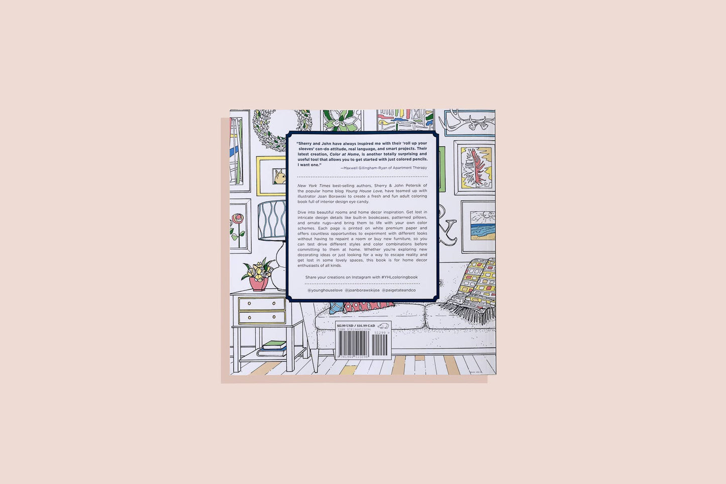 Paige Tate & Co. - Color At Home- A Young House Love Adult Coloring Book