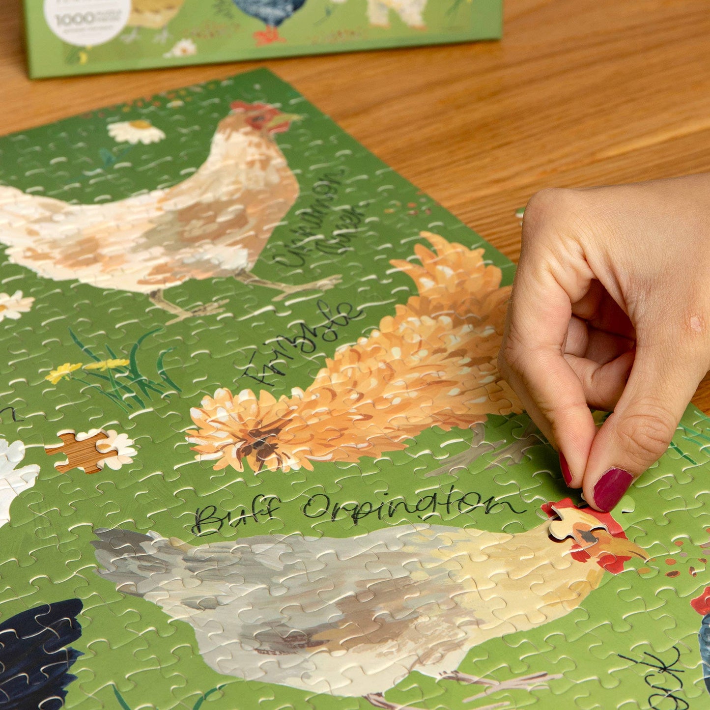 1canoe2 | One Canoe Two Paper Co. - Chicken Meadows - 1,000 Piece Jigsaw Puzzle