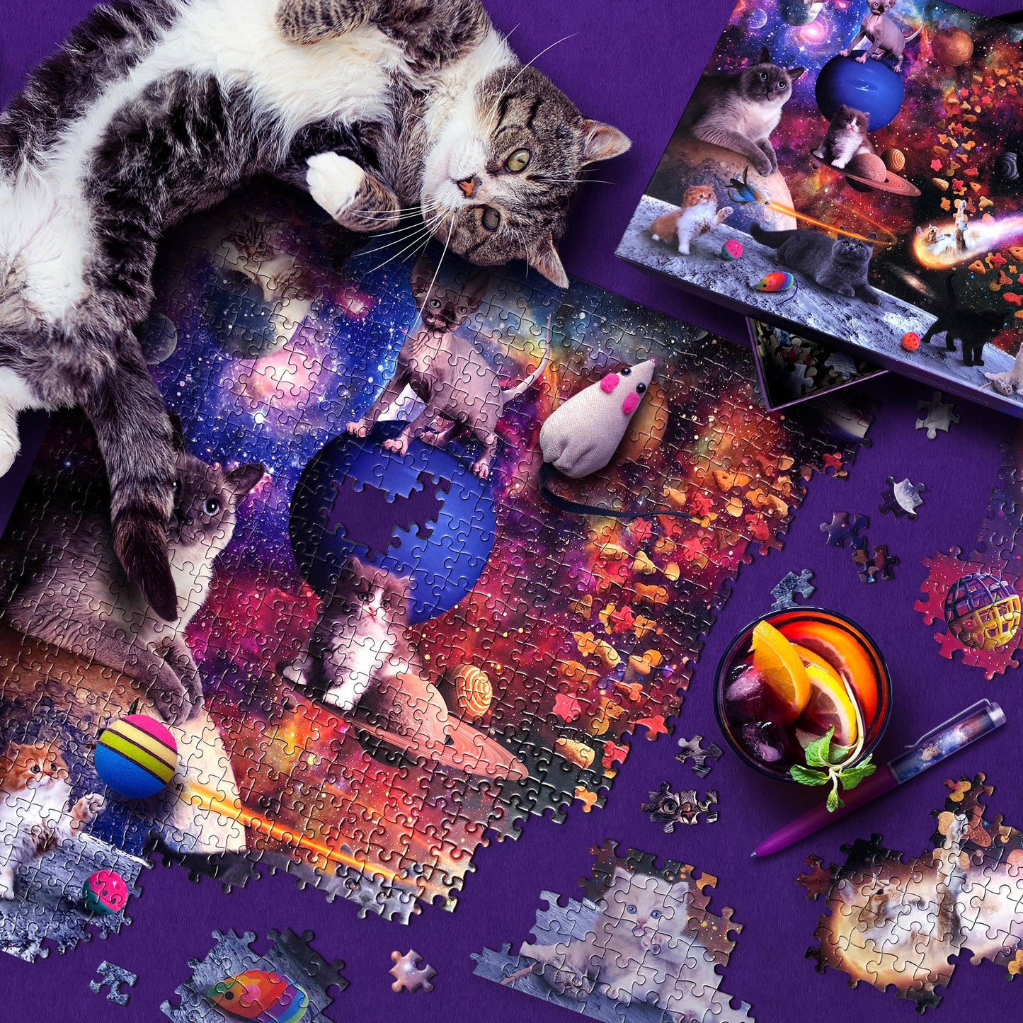Fred & Friends - Puzzle 1000 PC - Jennifer Norwood- Galaxy Cats