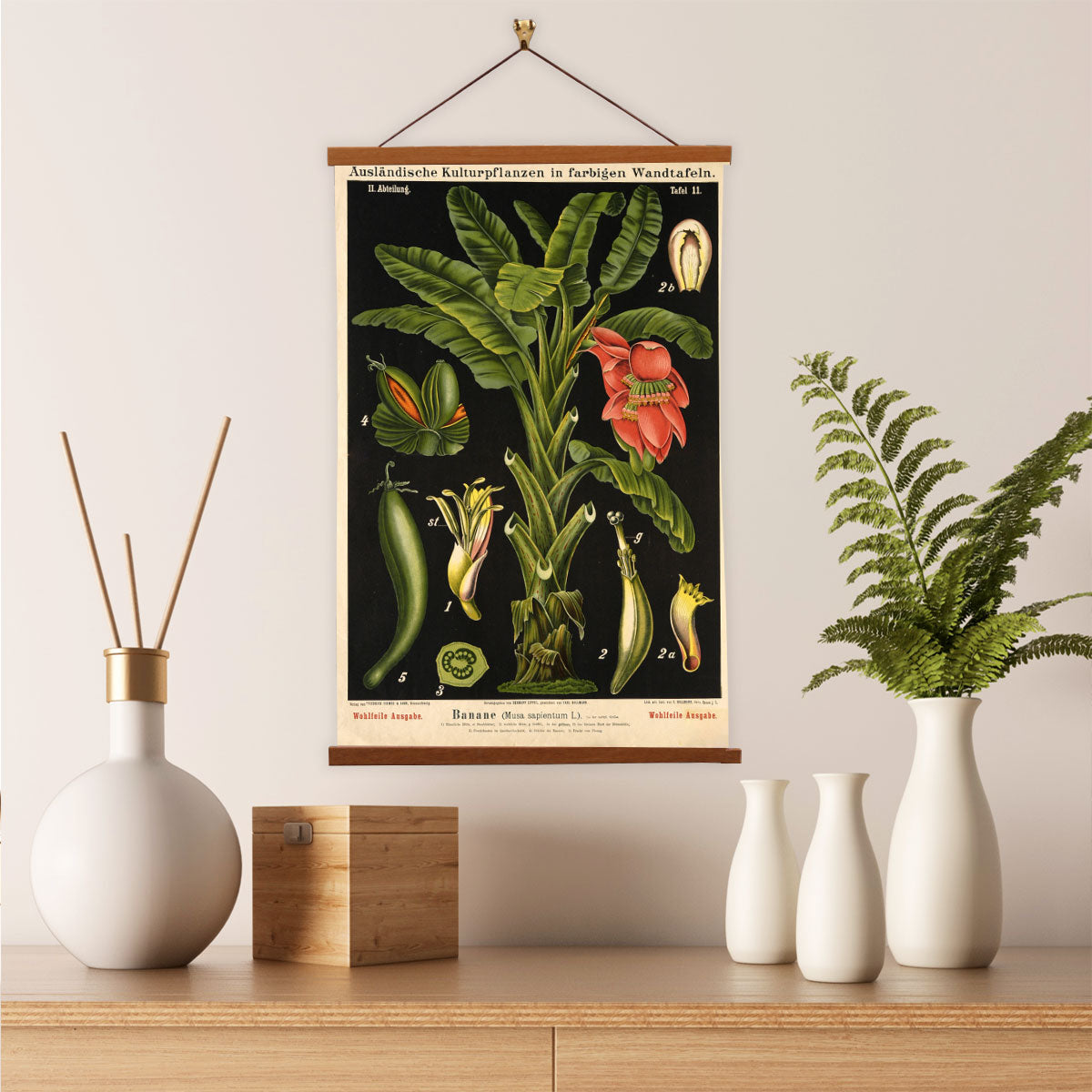 Banana Tree by Hermann Zippel and Carl Bollmann  Botanical Prints Canvas Wall Art with Magnetic Hanger