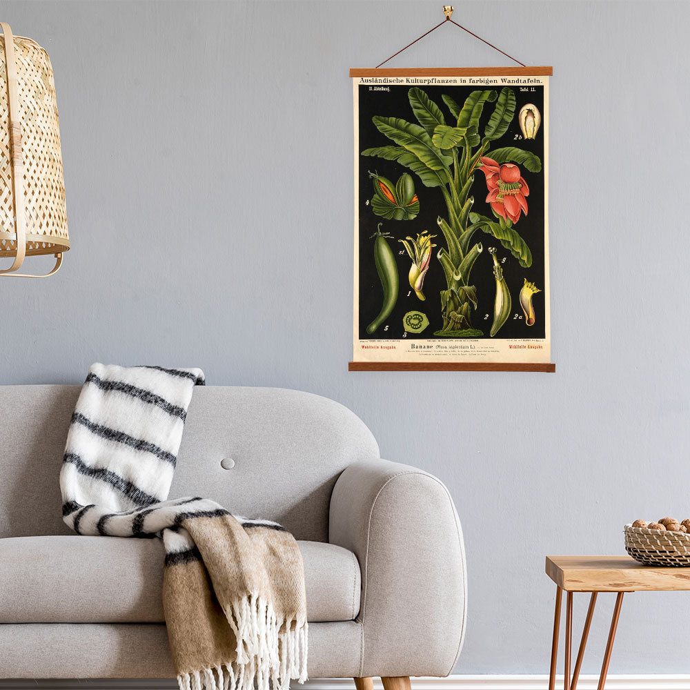 Banana Tree by Hermann Zippel and Carl Bollmann  Botanical Prints Canvas Wall Art with Magnetic Hanger