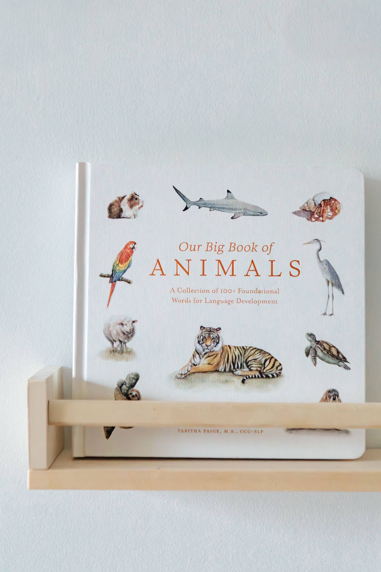 Paige Tate & Co. - Our Big Book of Animals (Board Book)
